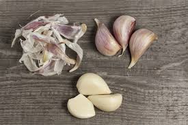 garlic